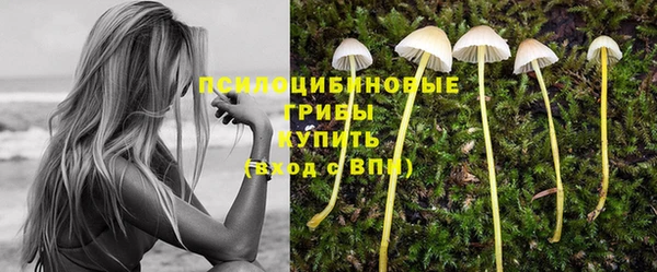 кокаин премиум Заводоуковск